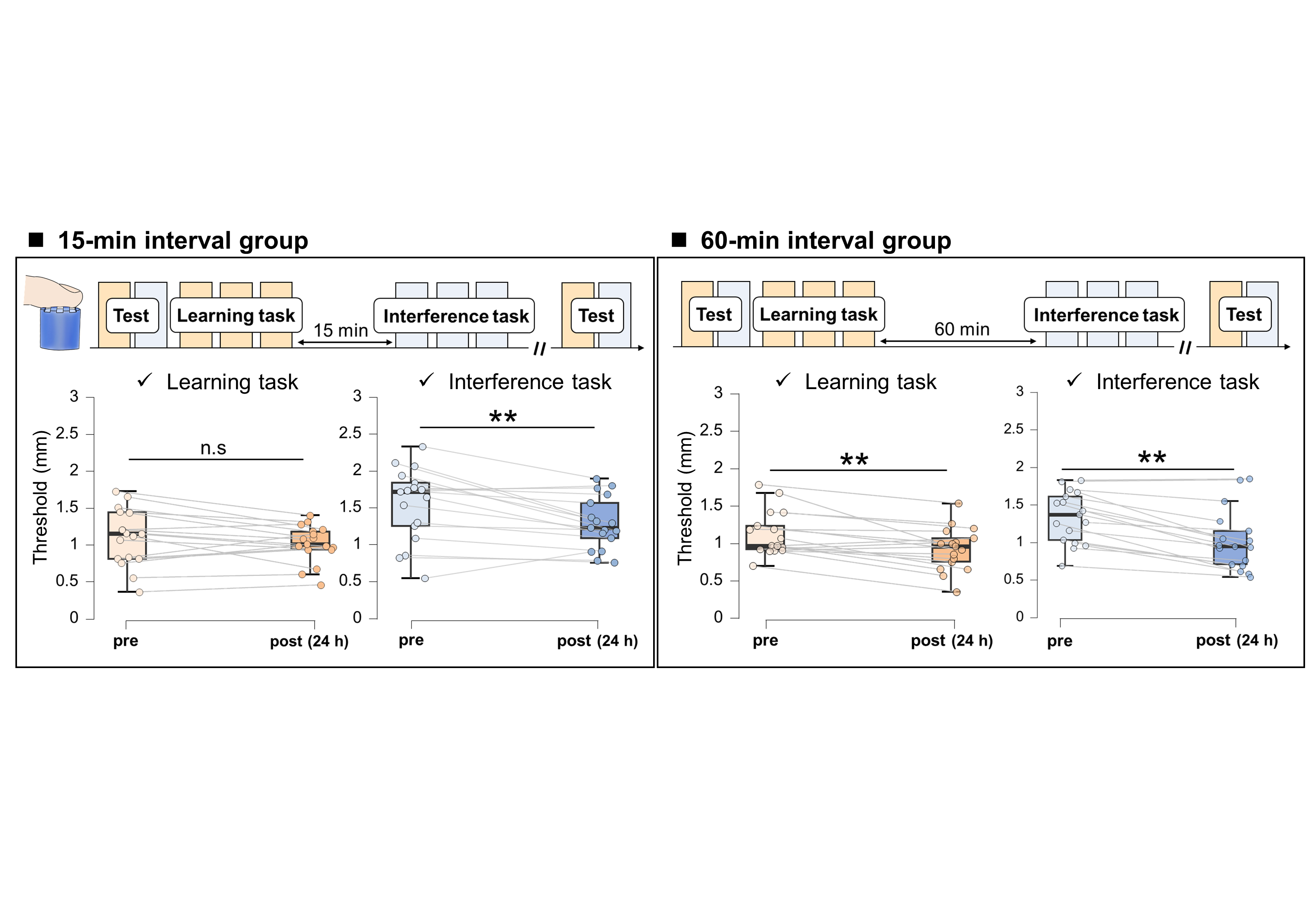 Comparison of thresholds between the Learning task and the Interference task for the 15-minute and 60-min interval groups. In the 15-minute interval group, thresholds for the Learning task remain unchanged, while thresholds for the Interference task show a significant decrease. In the 60-minute interval group, both the Learning task and the Interference task show a significant decrease in thresholds.