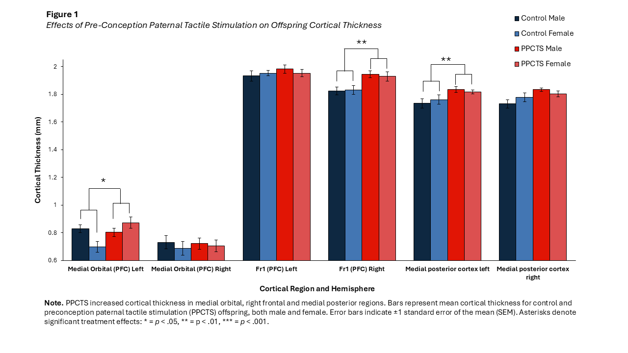 PPCTS increased cortical thickness in offspring in the medial orbital PFC, Fr1, and medial posterior cortex. Bars show mean ± SEM for control and PPCTS offspring. Asterisks indicate significant treatment effects ( * p < .05, ** p < .01, *** p < .001).