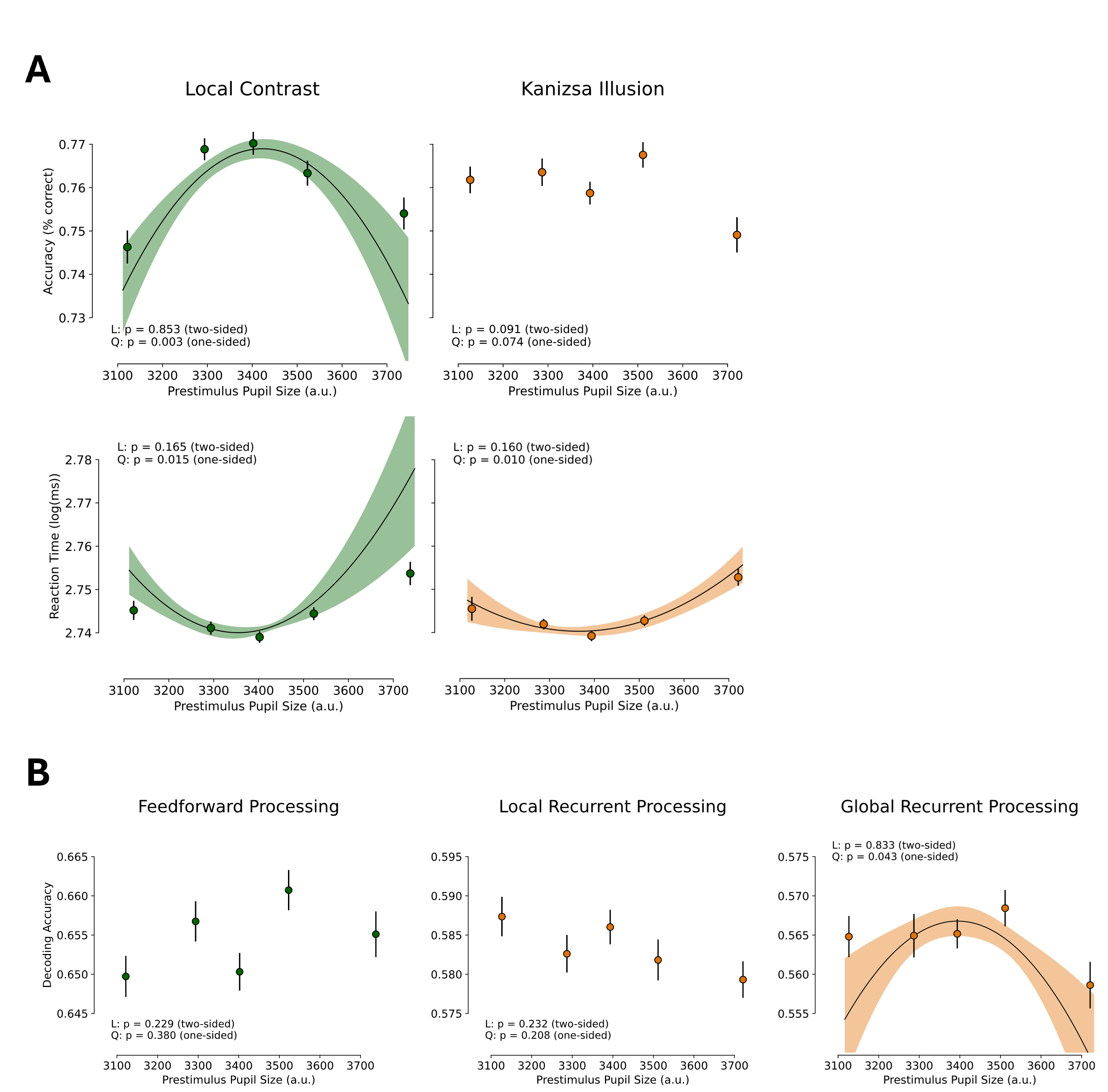 The figure shows the effects of arousal on behavioral performance and neural processing. Panel A displays behavioral results for two conditions. In the local contrast condition, accuracy and reaction time are optimal as intermediate levels of arousal, as measured by pupil size. In the Kanizsa illusion condition, accuracy is not related to arousal, while reaction time exhibits a U-shaped relationship. Panel B shows neural decoding results. Feedforward and local recurrent processing show no relationship with arousal, whereas global recurrent processing shows an inverted U-shaped relationship, with the highest decoding performance at moderate arousal levels.