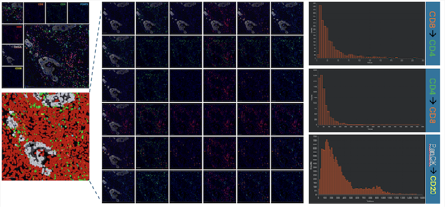 Spatial Analysis in RCa – Distance measurement 
