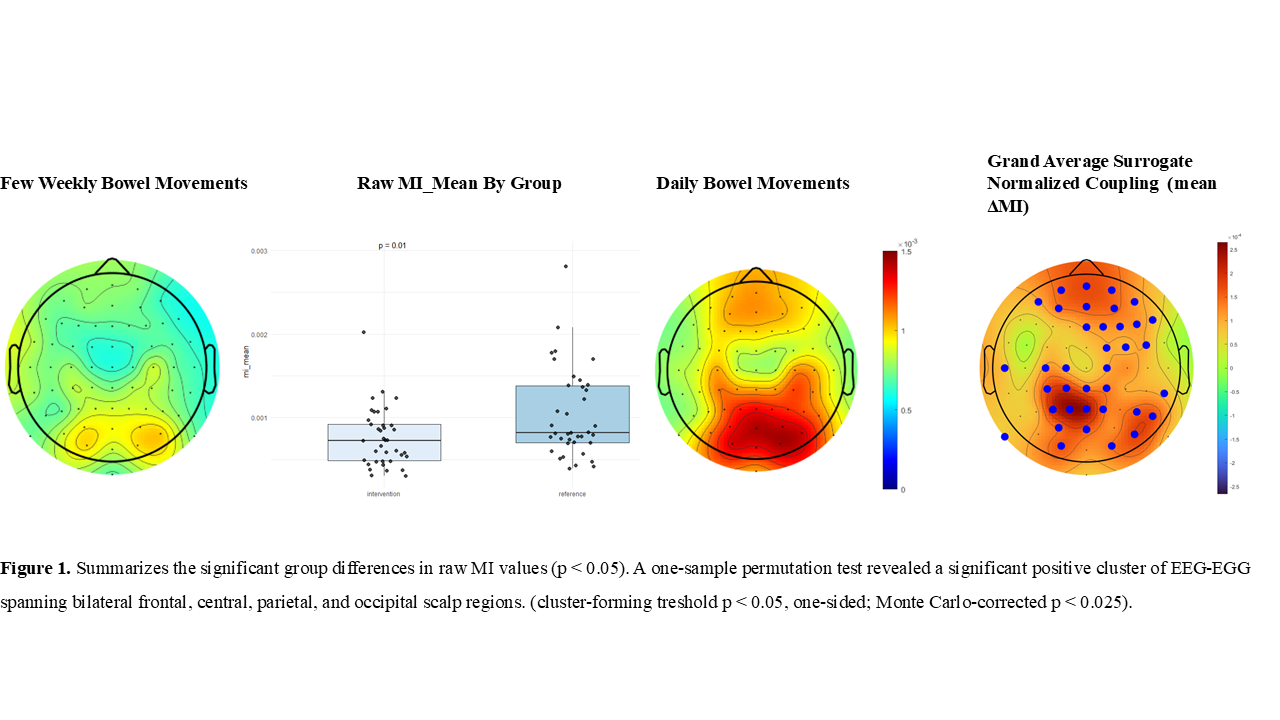 Figure 1. summarizes the significant group differences in raw MI values (p < 0.05). A one-sample permutation test revealed a significant positive cluster of EEG-EGG spanning bilateral frontal, central, parietal, and occipital scalp regions. (cluster-forming treshold p < 0.05, one-sided; Monte-Carlo corrected p < 0.025).