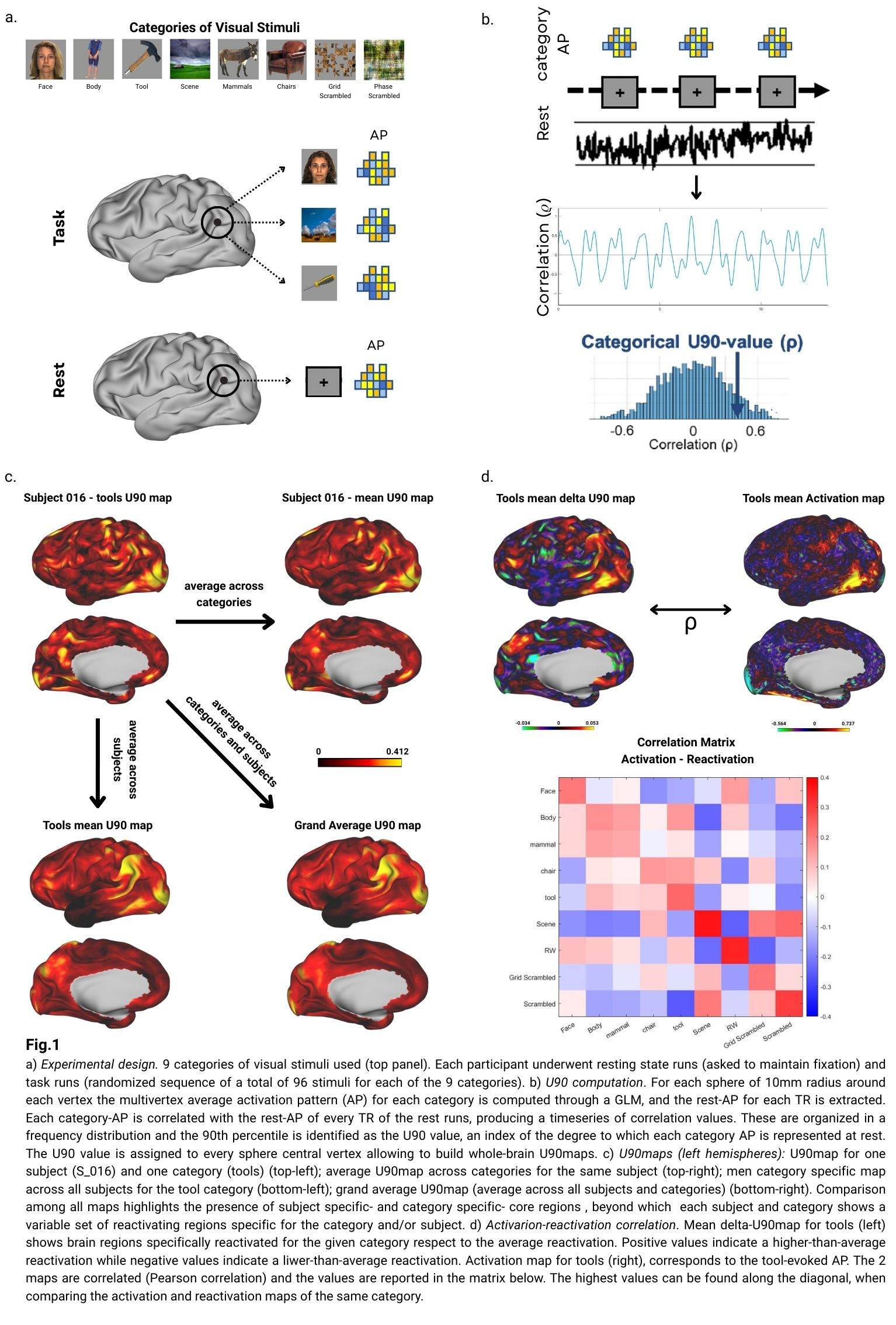 Fig.1 a) experimental design. b) U90 computation. c) U90 maps. d)Activation-reactivation correlation