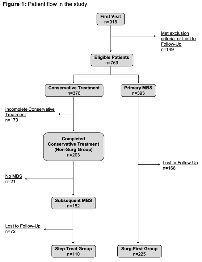 Patient flow in the study