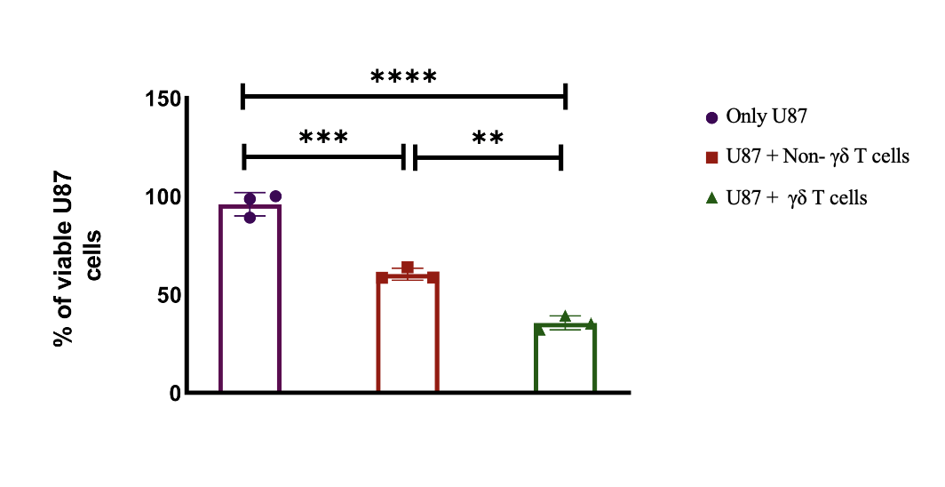 Figure 1: Bar graph showing U87 GBM cell viability after 24h co-culture