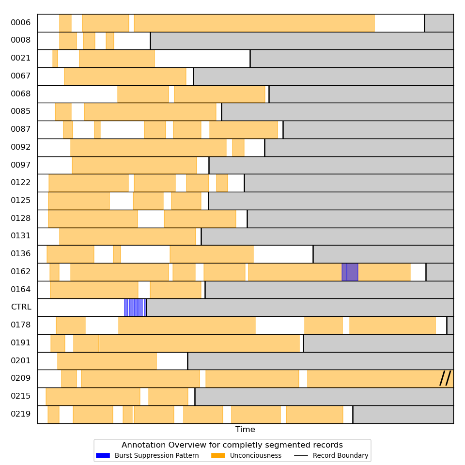 Annotation Overview for completely segmented records.
