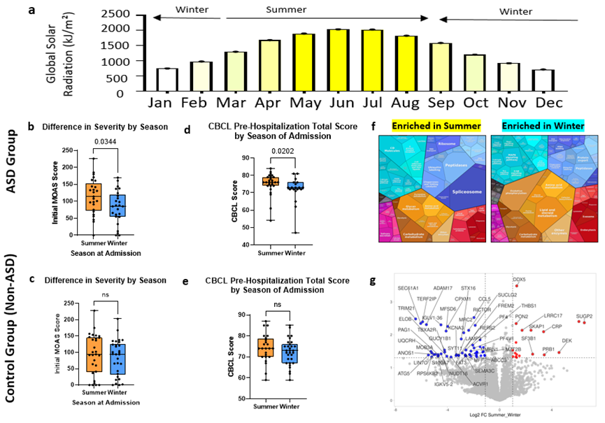 Figure 1. Seasonal differences in behavioral severity in children hospitalized at Sheba Medical Center. (a) Monthly global solar radiation used to define winter and summer seasons. (b) Initial MOAS aggression scores in children diagnosed with ASD by season of hospital admission. (c) Initial MOAS aggression scores in non-ASD control children by season of hospital admission. (d) CBCL total pre-hospitalization scores in children with ASD by season of admission. (e) CBCL total pre-hospitalization scores in non-ASD control children by season of admission. (f) Proteomaps illustrating functional enrichment of serum proteins in summer (left) and winter (right). (g) Volcano plot of serum proteomics in ASD children showing showing differential protein expression between high- and low-UV seasons