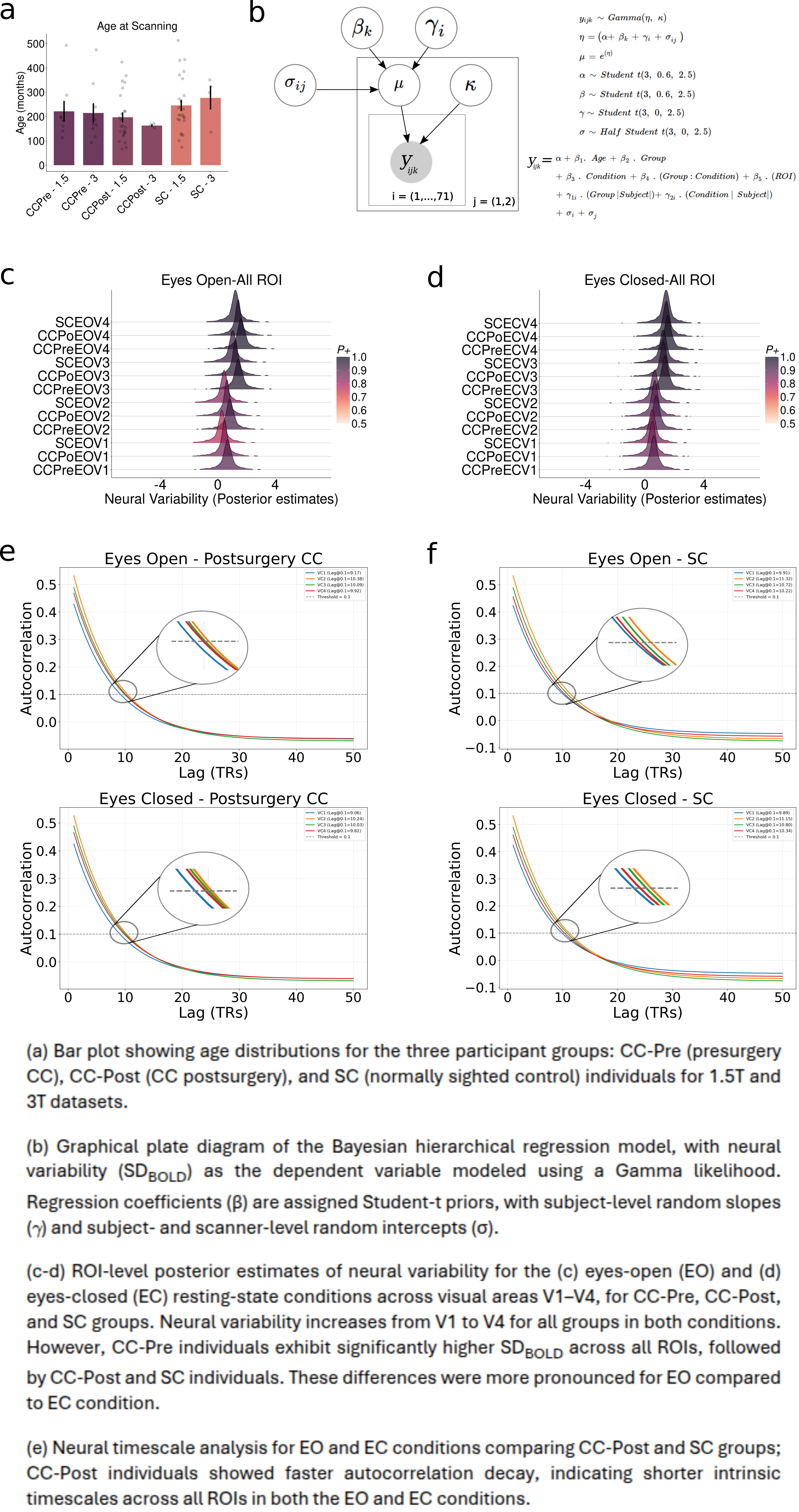 (a) Bar plot showing age distributions for the three participant groups: CC-Pre (presurgery CC), CC-Post (CC postsurgery), and SC (normally sighted control) individuals for 1.5T and 3T datasets. (b) Graphical plate diagram of the Bayesian hierarchical regression model, with neural variability (SDBOLD) as the dependent variable modeled using a Gamma likelihood. Regression coefficients (β) are assigned Student-t priors, with subject-level random slopes ( γ 𝛾 ) and subject- and scanner-level random intercepts (σ). (c-d) ROI-level posterior estimates of neural variability for the (c) eyes-open (EO) and (d) eyes-closed (EC) resting-state conditions across visual areas V1–V4, for CC-Pre, CC-Post, and SC groups. Neural variability increases from V1 to V4 for all groups in both conditions. However, CC-Pre individuals exhibit significantly higher SDBOLD across all ROIs, followed by CC-Post and SC individuals. These differences were more pronounced for EO compared to EC condition. (e) Neural timescale analysis for EO and EC conditions comparing CC-Post and SC groups; CC-Post individuals showed faster autocorrelation decay, indicating shorter intrinsic timescales across all ROIs in both the EO and EC conditions. 