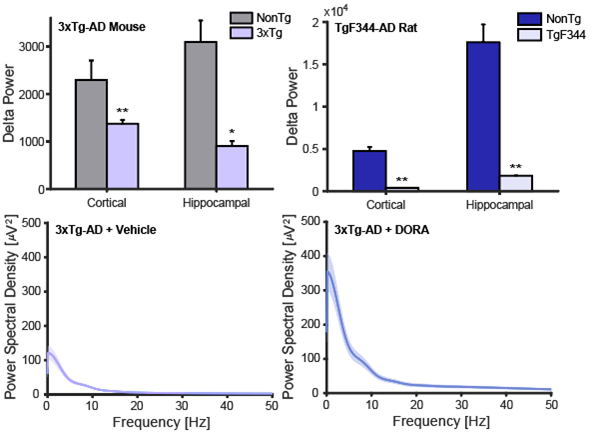 Upper left: double bar graph showing diminished delta power in cortex and hippocampus of 3x-TgAD model mice versus controls; Upper right: double bar graph showing diminished delta power in cortex and hippocampus of TgF344-AD model rats versus controls; Bottom left: Power spectral density graph showing the density of power from 0-50Hz for 3xTg-AD mice receiving vehicle treatment. Peak within the delta range (0-4Hz) is roughly 120 muV; Bottom right: Power spectral density graph showing the density of power from 0-50Hz for 3xTg-AD mice receiving suvorexant (DORA) treatment. Peak within the delta range (0-4Hz) is roughly 350 muV