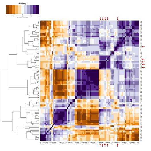 Heatmap der 86 Pyradiomics features mit Markierung der signifikantesten Features