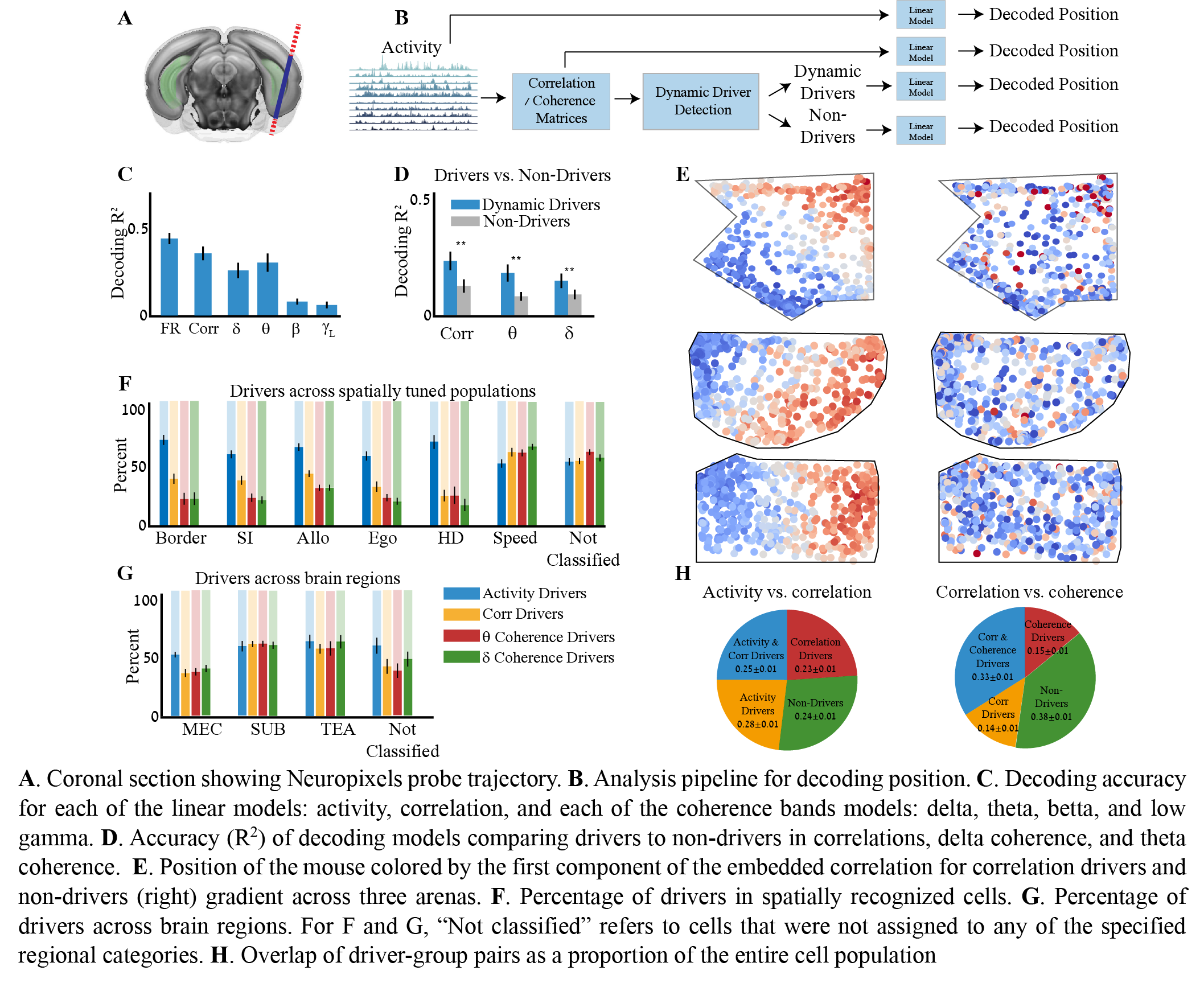 “Multi-panel figure showing Neuropixels probe placement, the decoding pipeline, and results comparing activity-based and connectivity-based decoding. Connectivity drivers show higher decoding accuracy than non-drivers, distinct spatial structure across arenas, and non-uniform distribution across cell types and brain regions.”