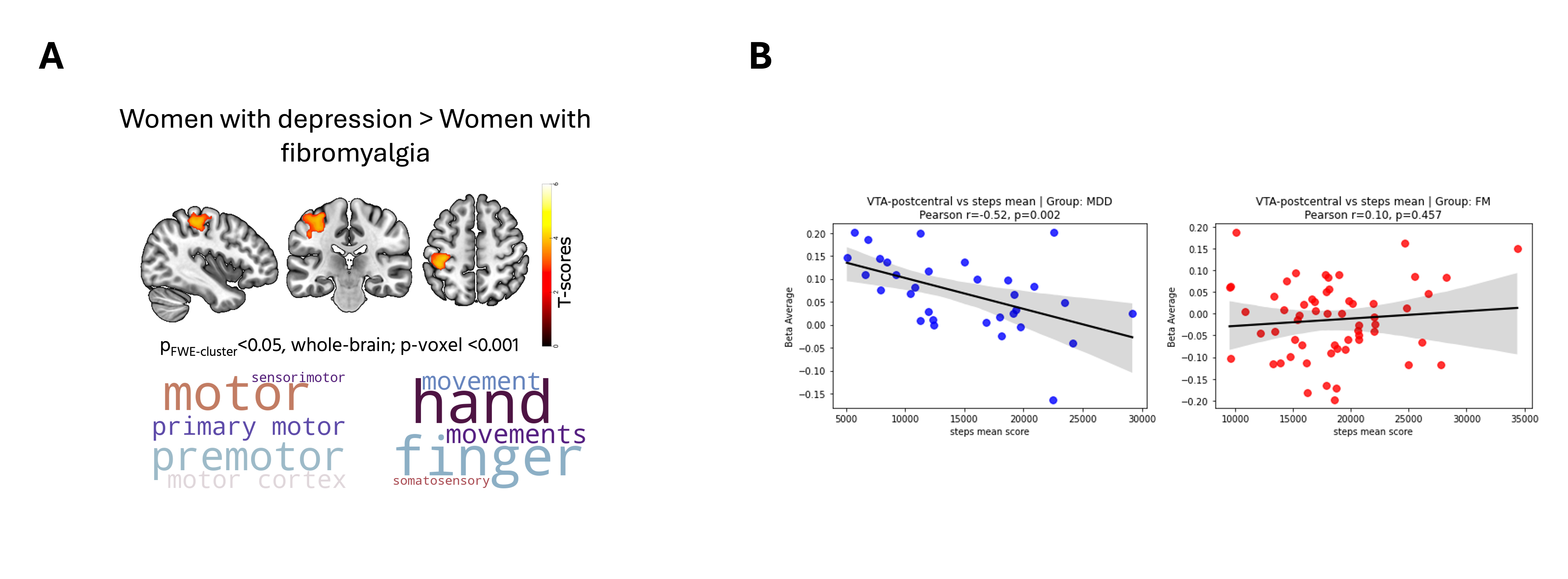 A. Whole-brain analysis revealed increased VTA–S1 connectivity in major depression (vs. fibromyalgia patients); Word clouds display the 10 terms most associated with the unthresholded connectivity T-maps, based on the Neurosynth meta-analytic toolbox. B. Correlation between VTA–postcentral beta values and daily step count derived from AX3 accelerometry. A significant negative correlation was observed in the MDD group (left panel; r = –0.52, p = 0.02), whereas no significant relationship was found in the FM group (right panel; r = –0.10, p = 0.49).