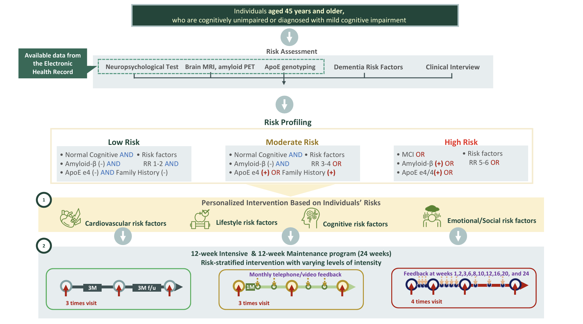 Diagram of the ADAPT-BHS workflow showing dementia risk assessment, risk stratification, and personalized, risk-based interventions delivered over a 24-week intensive and maintenance program.