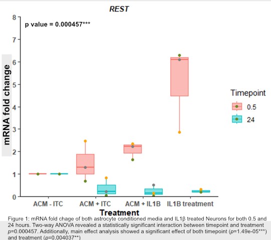 Box plot showing mRNA fold change of RE-1 Silencing Transcription factor upon treatment with astrocyte conditioned media or IL1B