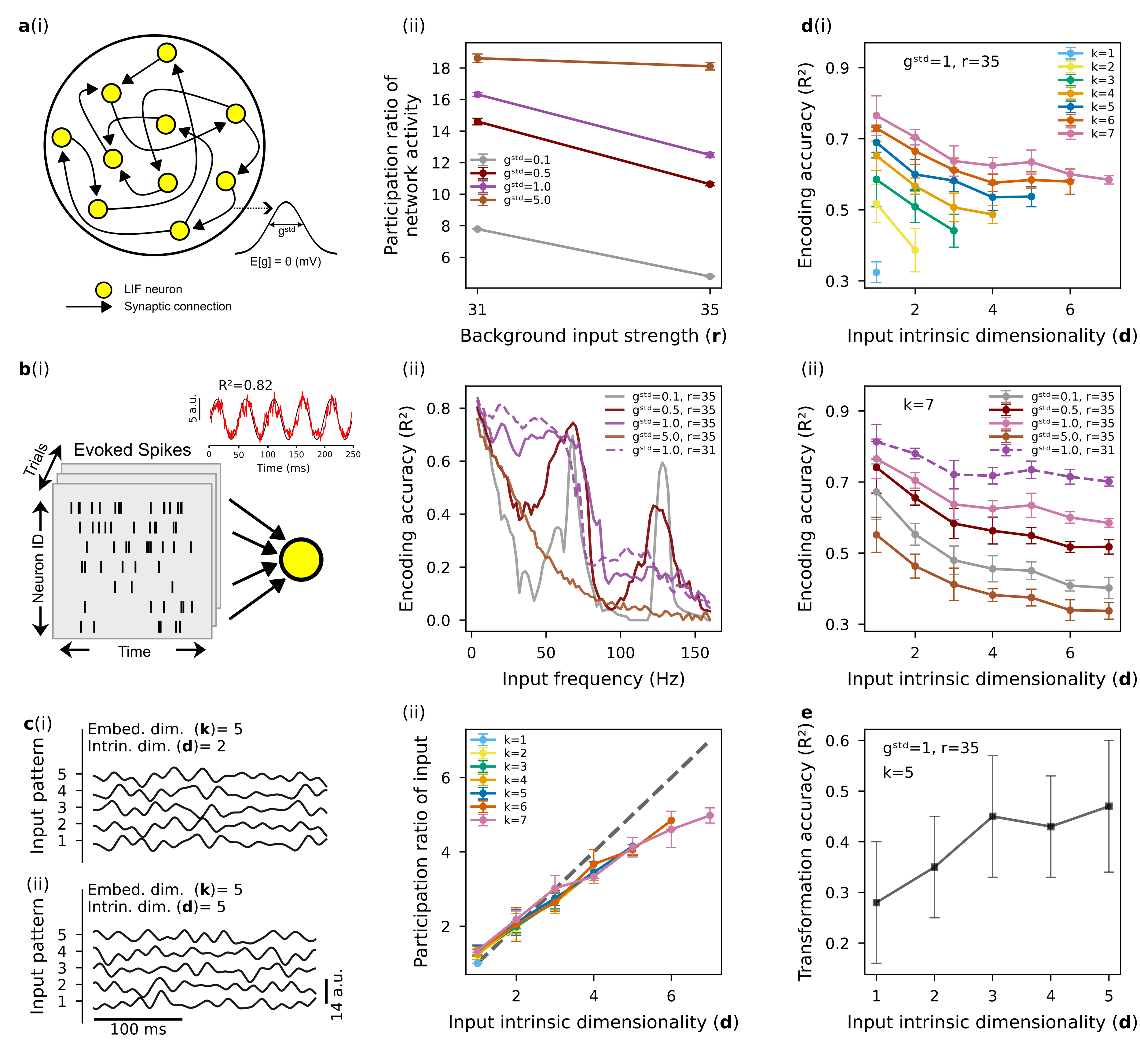 Figure showing computational modeling results. Panel a: recurrent spiking network schematic (i) and spontaneous dynamics varying with network parameters (ii). Panel b: linear readout method for quantifying encoding accuracy from evoked spiking activity (i), showing dependence on input frequency and network parameters (ii). Panel c: example input signals with same embedding dimensionality but different intrinsic dimensionality (i), and validation that participation ratio tracks intrinsic dimensionality (ii). Panel d: encoding accuracy decreases with increasing input intrinsic dimensionality (i), robust across network parameter regimes (ii). Panel e: transformation accuracy increases with input intrinsic dimensionality.