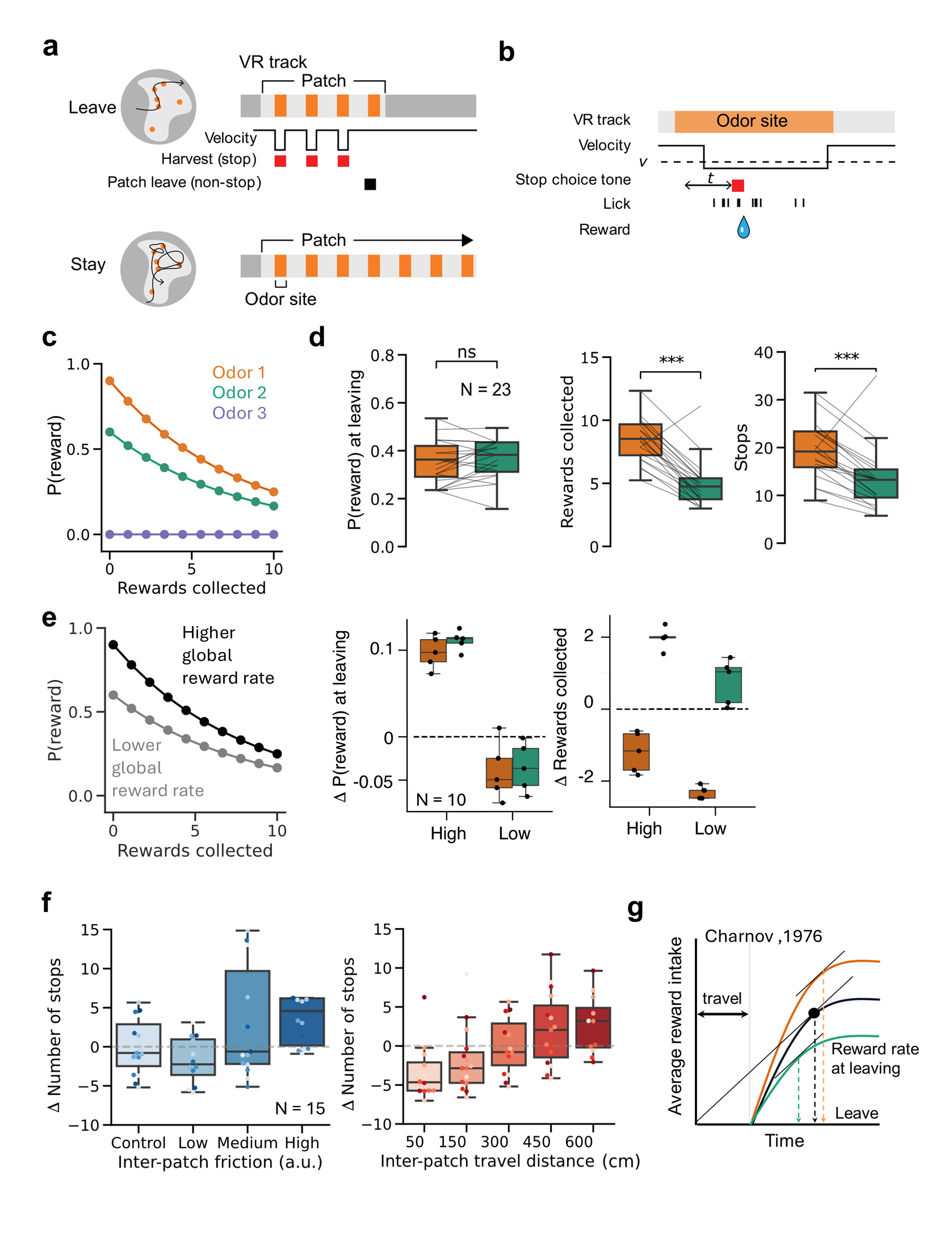 Figure 1. A novel olfactory patch foraging task to study decision making in head-fixed mice. (a) Task schematic. Mice navigate a virtual track with patches that contain odor-marked reward sites (orange). Patches extend dynamically if mice continue stopping to harvest. Leaving is signaled by running through an odor site and this terminates the current patch. (b) Stop events were triggered when velocity dropped below threshold 𝑣 for duration 𝑡. A tone (red square) cued choice, and licks triggered probabilistic water rewards (blue droplet). (c) Reward depletion curves for three patch types. Orange and green patches deplete probabilistically with matched time constants but different initial reward probabilities; purple patch is non-depleting. (d) Behavior across patch types (n = 23 mice). Left: No difference in P(reward) at leaving. Middle/right: Mice collected fewer rewards and made fewer stops in green patches (***p < 0.001). (e) Effect of global reward rate manipulation. Left: Global reward rate was manipulated by changing the reward depletion curves. Δ values reflect changes relative to the control (baseline) sessions. Middle and right: Under higher reward conditions, mice left patches earlier which led to higher P(reward) at leaving. Under low reward conditions, mice stayed longer thus had higher P(reward) at leaving. Number of rewards collected changed in opposite directions for each patch type. (f) Manipulation of inter-patch travel cost and effect on leaving decisions (n=15 mice) Left: Number of stops as a function of inter-patch wheel friction level (control, low, medium, high). Mice made more stops at higher friction levels. Right: Number of stops as a function of inter-patch travel distance (50-600 cm). Mice made more stops with longer inter-patch distances and fewer stops with shorter distances. Grey dashed line indicates mean for control sessions. (g) Marginal Value Theorem (MVT) prediction (Charnov, 1976). Optimal leaving time occurs when the instantaneous reward rate equals the environment global reward rate. Dashed line marks predicted leaving point across patches with varying reward rates. Cost of travel affects the optimal leaving time. 