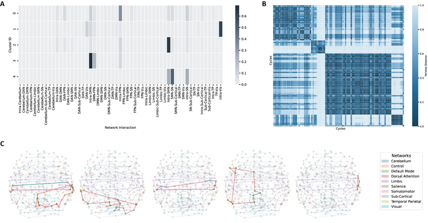 A Agglomerative clustering results according to functional profiles of cycles. B Pairwise cosine distances between cycles. 5 distinct clusters are showed in the heatmap. C Visualizations of the most discriminating 1-cycles in each cluster. Global averaged maximum spanning tree structure is showed in the background. Different colors of nodes indicate different brain networks. Highlighted edges demonstrate the higher-order cycle structure, with green color indicates the edge has significant functional connectivity strength difference between OCD and healthy controls. DAN: dorsal attention network, DMN: default mode network, FPN: frontal parietal network (labeled “Control” in the atlas), OCD: obsessive-compulsive disorder, SMN: somatomotor network, SN: salience network, TP: temporal parietal network, Vis: visual network. 