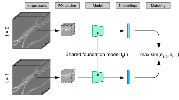 Self-supervised tracking pipeline