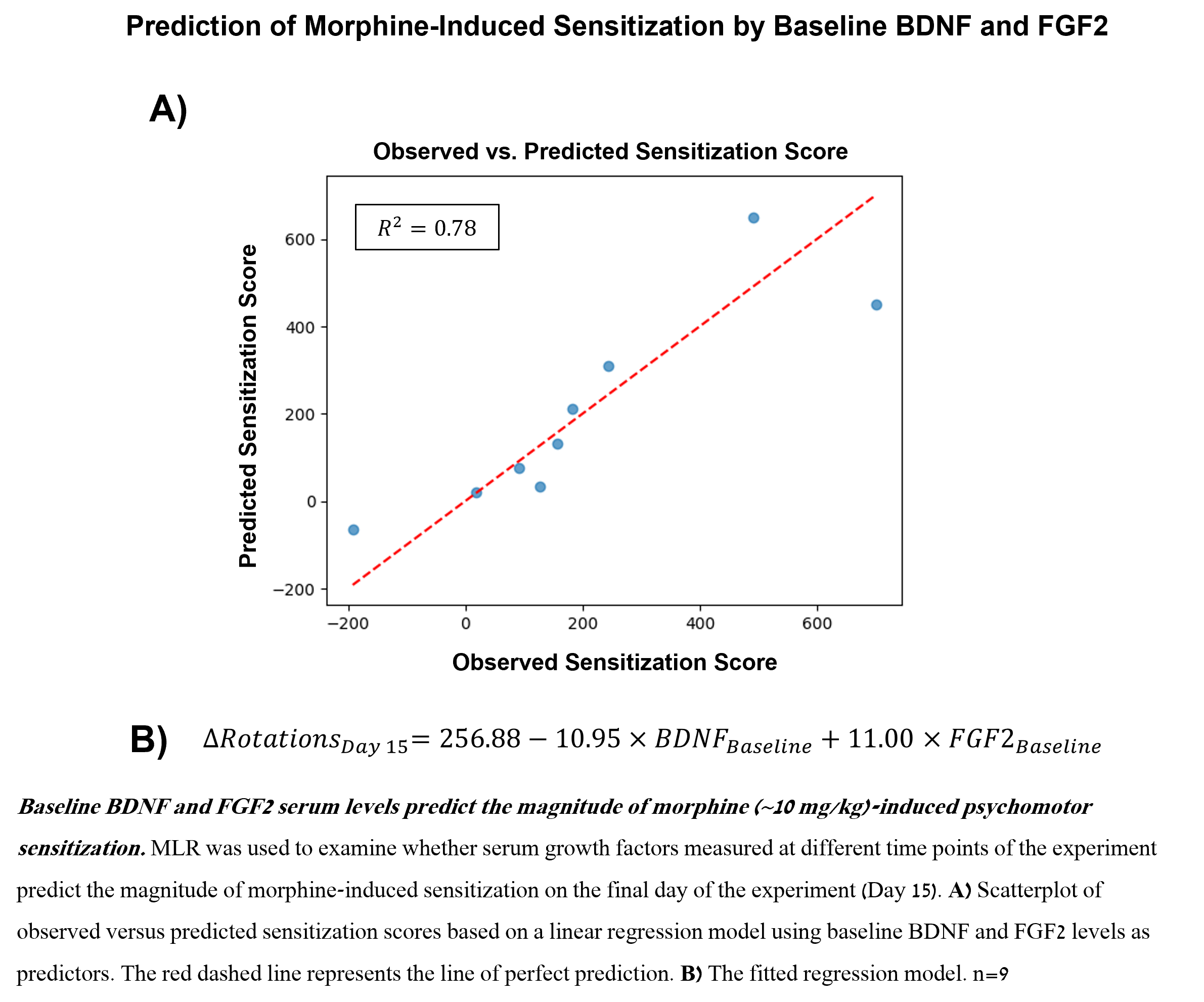 Figure titled “Prediction of Morphine-Induced Sensitization by Baseline BDNF and FGF2.” Panel A presents a scatterplot comparing observed versus model-predicted psychomotor sensitization scores on Day 15 following repeated morphine administration. The x-axis denotes the observed sensitization score and the y-axis denotes the predicted sensitization score derived from a multiple linear regression model using baseline serum BDNF and FGF2 levels as predictors. Each point represents an individual subject (n = 9). A red dashed diagonal line indicates the line of unity (y = x), representing perfect prediction. Data points generally cluster near the unity line, indicating good model performance, with an overall coefficient of determination of R² = 0.78 shown in an inset. Panel B reports the fitted regression equation: ΔRotations_Day15 = 256.88 − 10.95 × BDNF_baseline + 11.00 × FGF2_baseline, indicating a negative association between baseline BDNF and sensitization magnitude and a positive association between baseline FGF2 and sensitization magnitude. The figure demonstrates that baseline serum growth factor levels account for a substantial proportion of variance in morphine-induced psychomotor sensitization on the final day of testing.