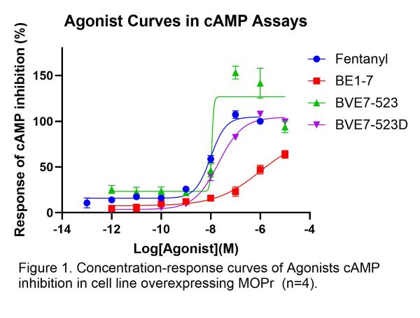 A graph of different colored lines shows agonists curves in cAMP Assay