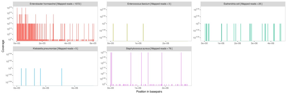 Abbildung 3: Alignment von mcfDNA-Reads gegen das Genom von Enterobacter hormaechei mit deutlicher Dominanz gegenüber vereinzelten Reads anderer Spezies.