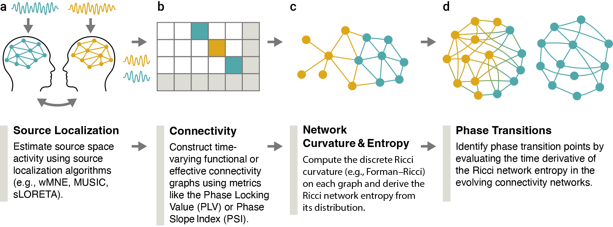 Figure shows an overview of the analysis pipeline. Panel a depicts first step, consisting of the dual neural signals being preprocessed and source-localized to estimate cortical activity. Panel b depicts the construction of sliding-window inter-brain connectivity graphs. Panel c shows the compute of time-resolved distribution of network curvature across edges. Panel d depicts the network entropy and its time derivative being derived to detect phase transitions in the evolving connectivity networks. Arrows indicate the flow of analysis, and color gradients denote curvature sign.