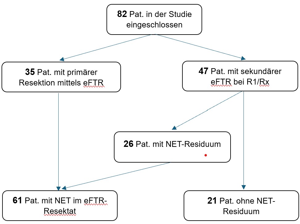 Flowchart eFTR bei Patienten mit rNET