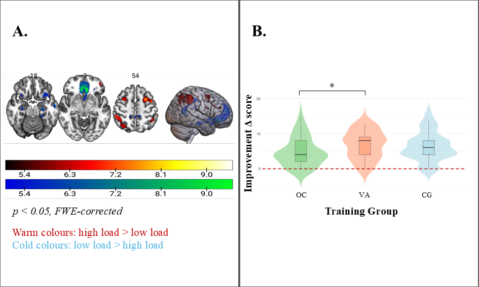 Figure 1: A. Task-based fMRI activation maps for a visuospatial working memory task showing high-load versus low-load, and low-load versus high-load contrasts (high-load: 2-back condition, low-load: 0-back condition, p < 0.05 family-wise error corrected). B. Violin plots showing improvement (deltaT1-T0 score) in Cubes scores across all groups (VA, OC and CG).