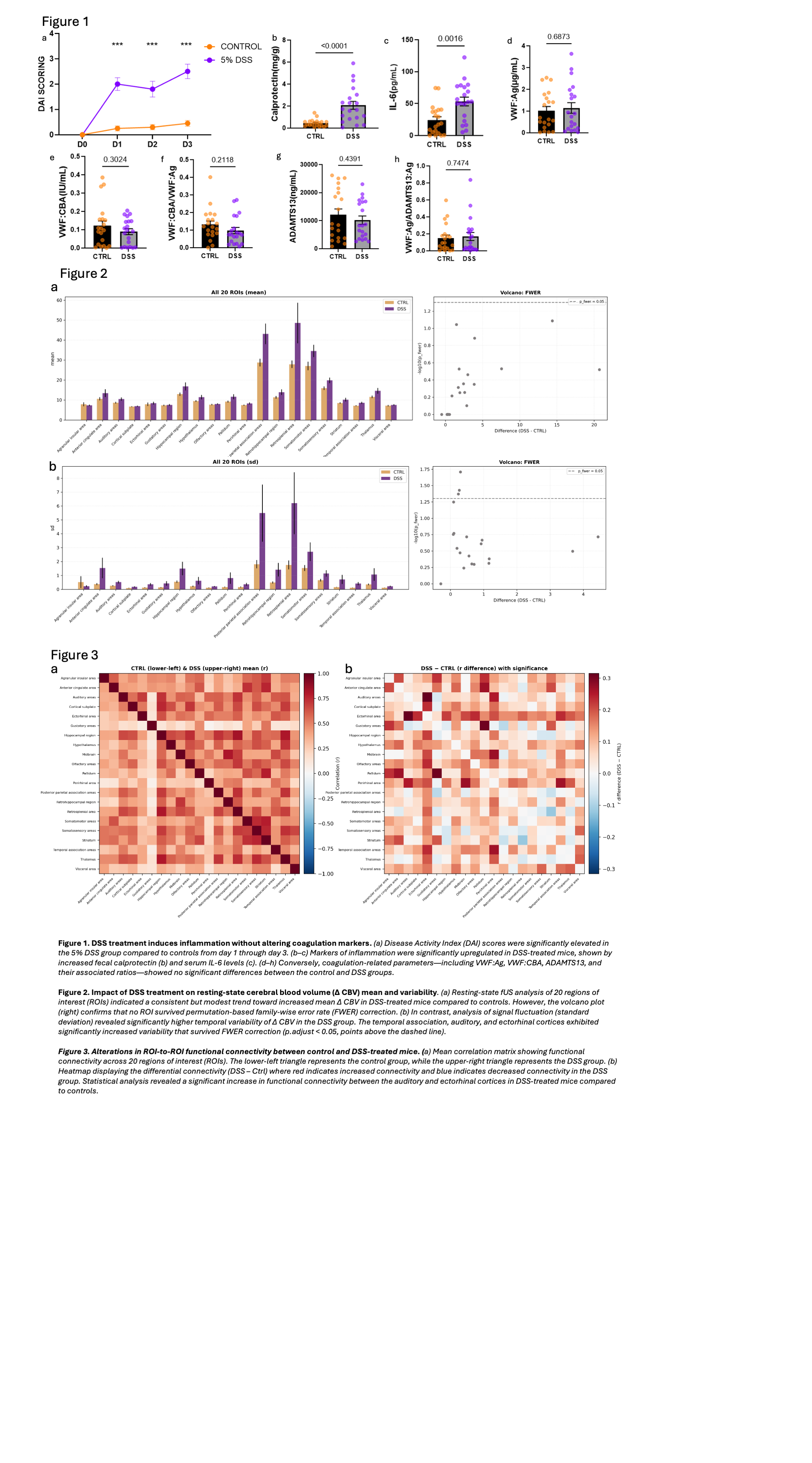 Figure 1. DSS treatment induces inflammation without altering coagulation markers. (a) Disease Activity Index (DAI) scores were significantly elevated in the 5% DSS group compared to controls from day 1 through day 3. (b–c) Markers of inflammation were significantly upregulated in DSS-treated mice, shown by increased fecal calprotectin (b) and serum IL-6 levels (c). (d–h) Conversely, coagulation-related parameters—including VWF:Ag, VWF:CBA, ADAMTS13, and their associated ratios—showed no significant differences between the control and DSS groups. Figure 2. Impact of DSS treatment on resting-state cerebral blood volume (Δ CBV) mean and variability. (a) Resting-state fUS analysis of 20 regions of interest (ROIs) indicated a consistent but modest trend toward increased mean Δ CBV in DSS-treated mice compared to controls. However, the volcano plot (right) confirms that no ROI survived permutation-based family-wise error rate (FWER) correction. (b) In contrast, analysis of signal fluctuation (standard deviation) revealed significantly higher temporal variability of Δ CBV in the DSS group. The temporal association, auditory, and ectorhinal cortices exhibited significantly increased variability that survived FWER correction (p.adjust < 0.05, points above the dashed line). Figure 3. Alterations in ROI-to-ROI functional connectivity between control and DSS-treated mice. (a) Mean correlation matrix showing functional connectivity across 20 regions of interest (ROIs). The lower-left triangle represents the control group, while the upper-right triangle represents the DSS group. (b) Heatmap displaying the differential connectivity (DSS – Ctrl) where red indicates increased connectivity and blue indicates decreased connectivity in the DSS group. Statistical analysis revealed a significant increase in functional connectivity between the auditory and ectorhinal cortices in DSS-treated mice compared to controls.