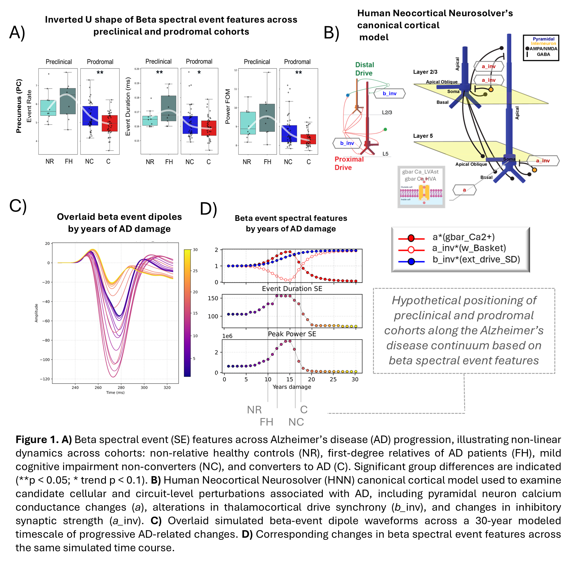 Multi-panel figure illustrating inverted-U changes in MEG beta spectral event features across preclinical and prodromal Alzheimer’s disease cohorts, alongside neural model schematics and simulations linking cellular and circuit mechanisms to beta-event dynamics over disease progression.
