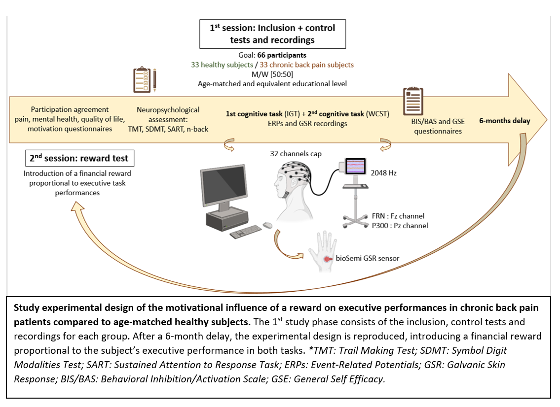 Figure 1: Experimental design