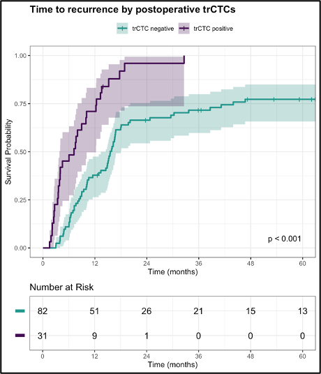 Kaplan-Meier Curves showing unadjusted survival for subgroups. 95%-Intervals are shown in hatched color, crosses represent time of censoring.