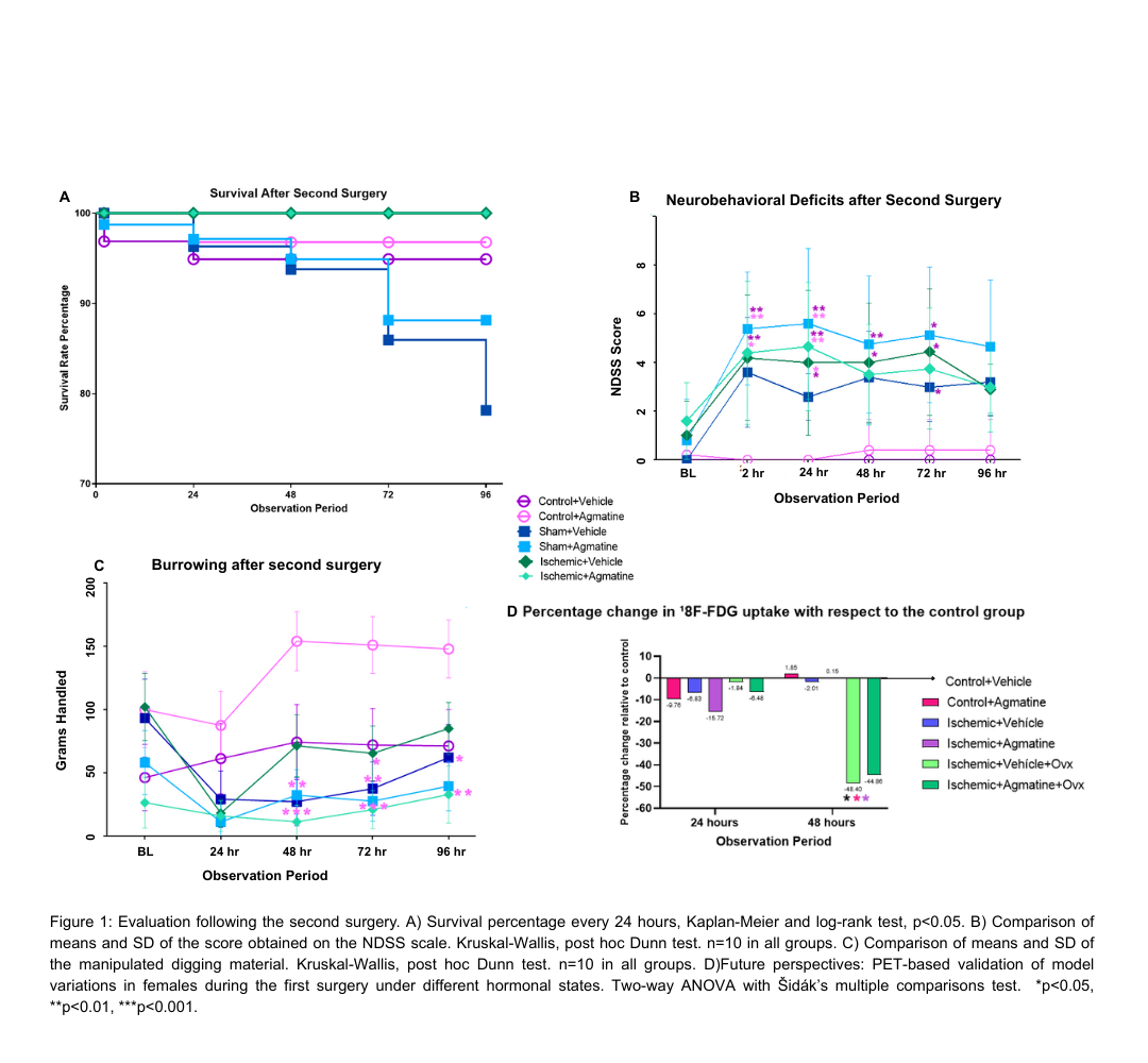 Evaluation following the second surgery. A) Survival percentage every 24 hours, Kaplan-Meier and log-rank test, p<0.05. B) Comparison of means and SD of the score obtained on the NDSS scale. Kruskal-Wallis, post hoc Dunn test. n=10 in all groups. C) Comparison of means and SD of the manipulated digging material. Kruskal-Wallis, post hoc Dunn test. n=10 in all groups. D)Future perspectives: PET-based validation of model variations in females during the first surgery under different hormonal states. Two-way ANOVA with Šidák’s multiple comparisons test. *p<0.05, **p<0.01, ***p<0.001.
