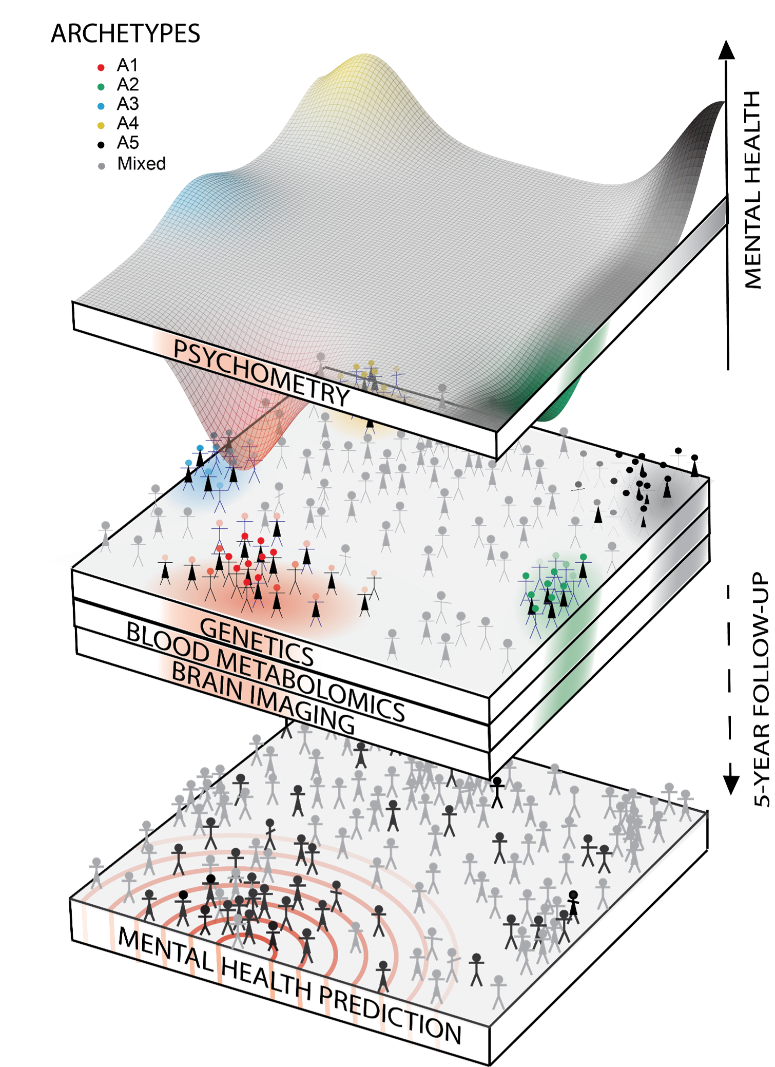 Conceptual illustration of a layered framework for mental health stratification and prediction. A psychometric surface defining five archetypes (A1–A5) sits above layers representing genetics, blood metabolomics, and brain imaging within a population of individuals. The figure illustrates how psychometric archetypes are linked to biological features used to predict future mental health outcomes.