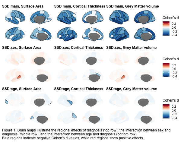Figure representing brain maps in a 3x3 fashion. In the first row, we can see the main effect of the SSD diagnosis, while on the middle row we can observe the interaction with sex and on the bottow row the interaction with age.