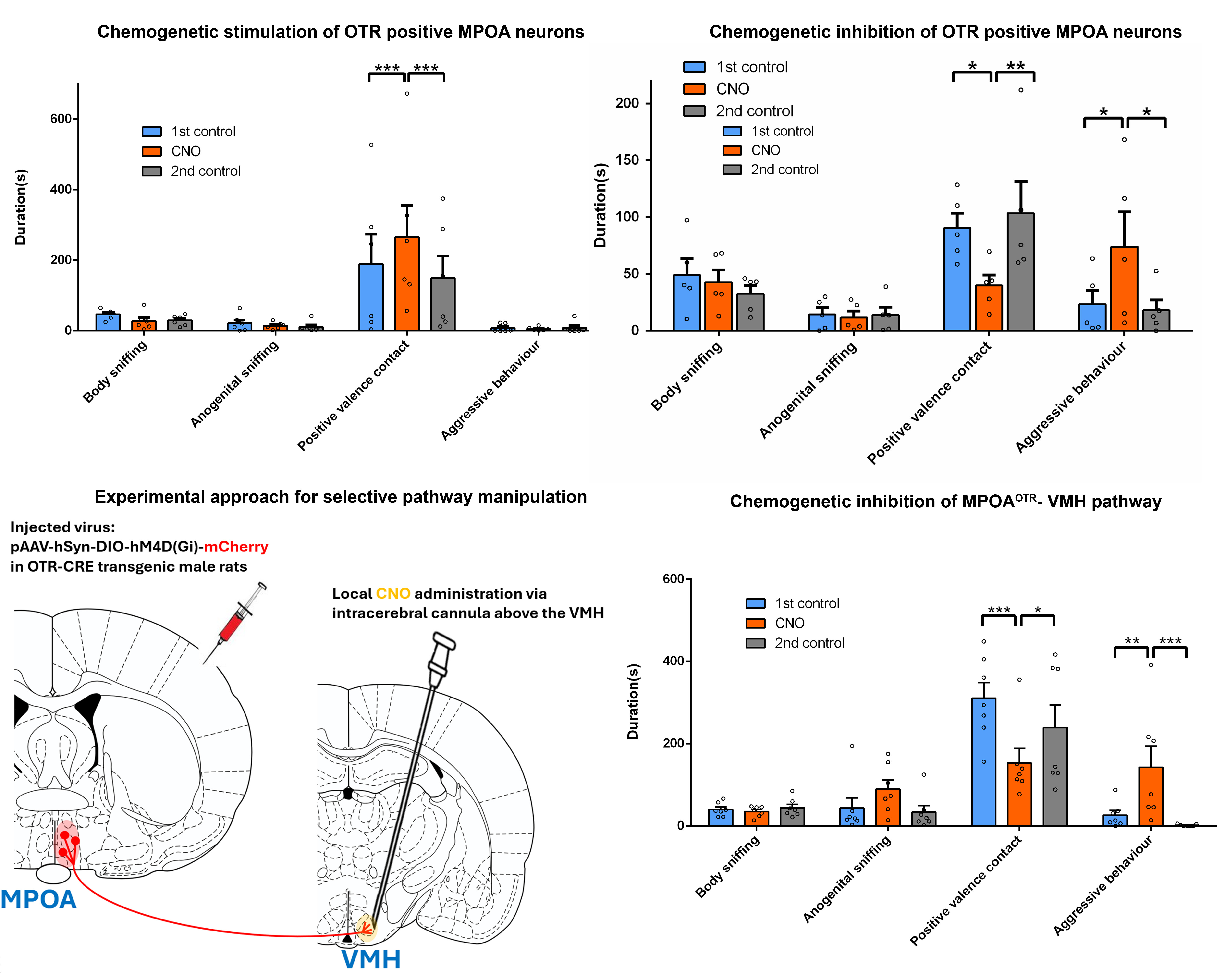 Results of the behaviour tests and the experimental approach for selective pathway manipulation