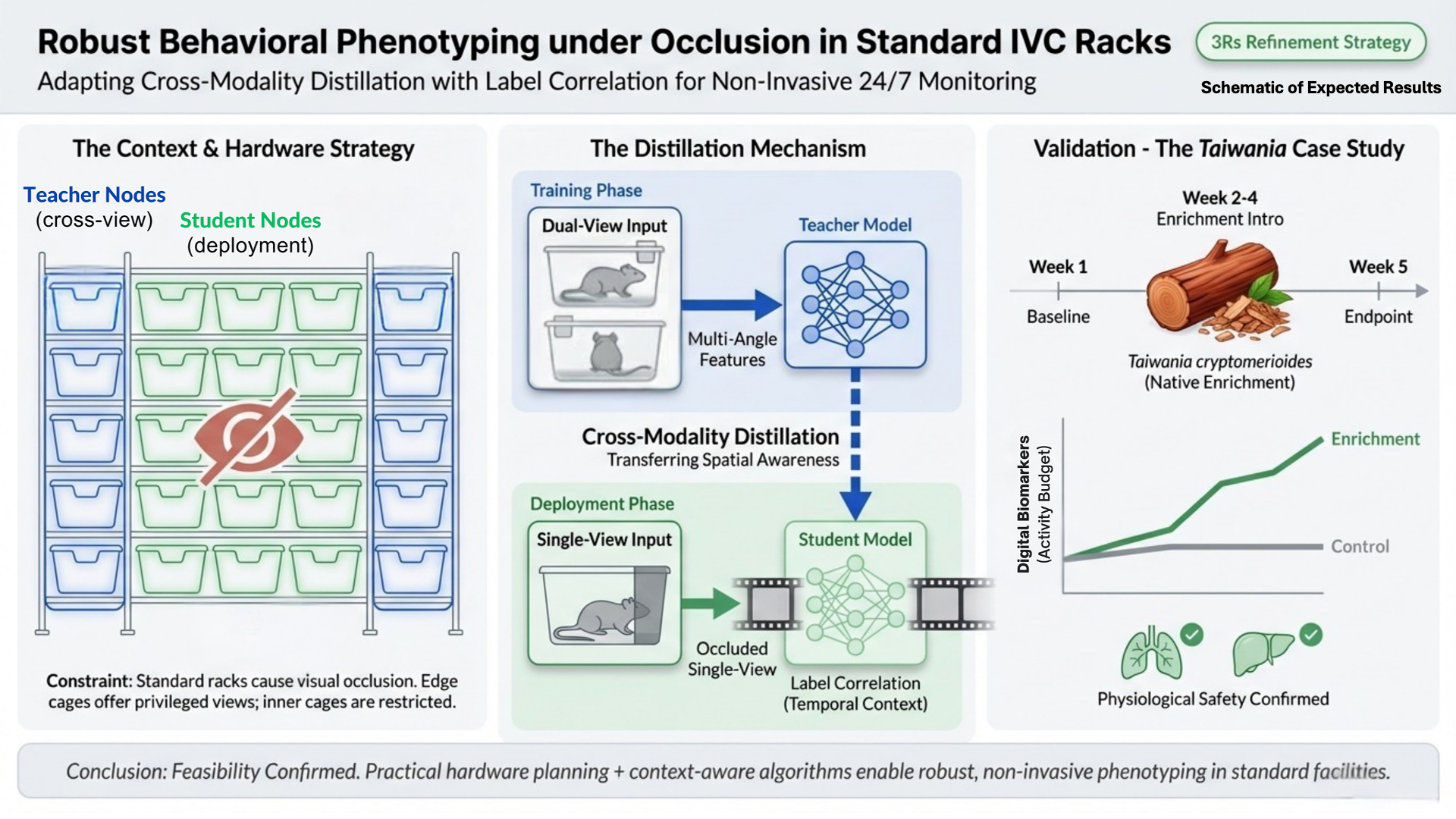 A schematic diagram titled 'Robust Behavioral Phenotyping under Occlusion in Standard IVC Racks'. The left panel shows the hardware setup where standard cages have restricted views, solved by using edge cages with privileged views. The center panel illustrates an AI 'Distillation Mechanism' where a multi-view Teacher Model transfers spatial awareness to a single-view Student Model for deployment. The right panel presents validation data in a Taiwania cryptomerioides case study, showing a line graph where environmental enrichment increases digital biomarkers of activity over 5 weeks compared to controls, with physiological safety confirmed.