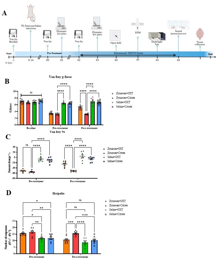 Figure 1 : intranasal oxytocin administration reduces provoked vulvodynia hypersensitivity 