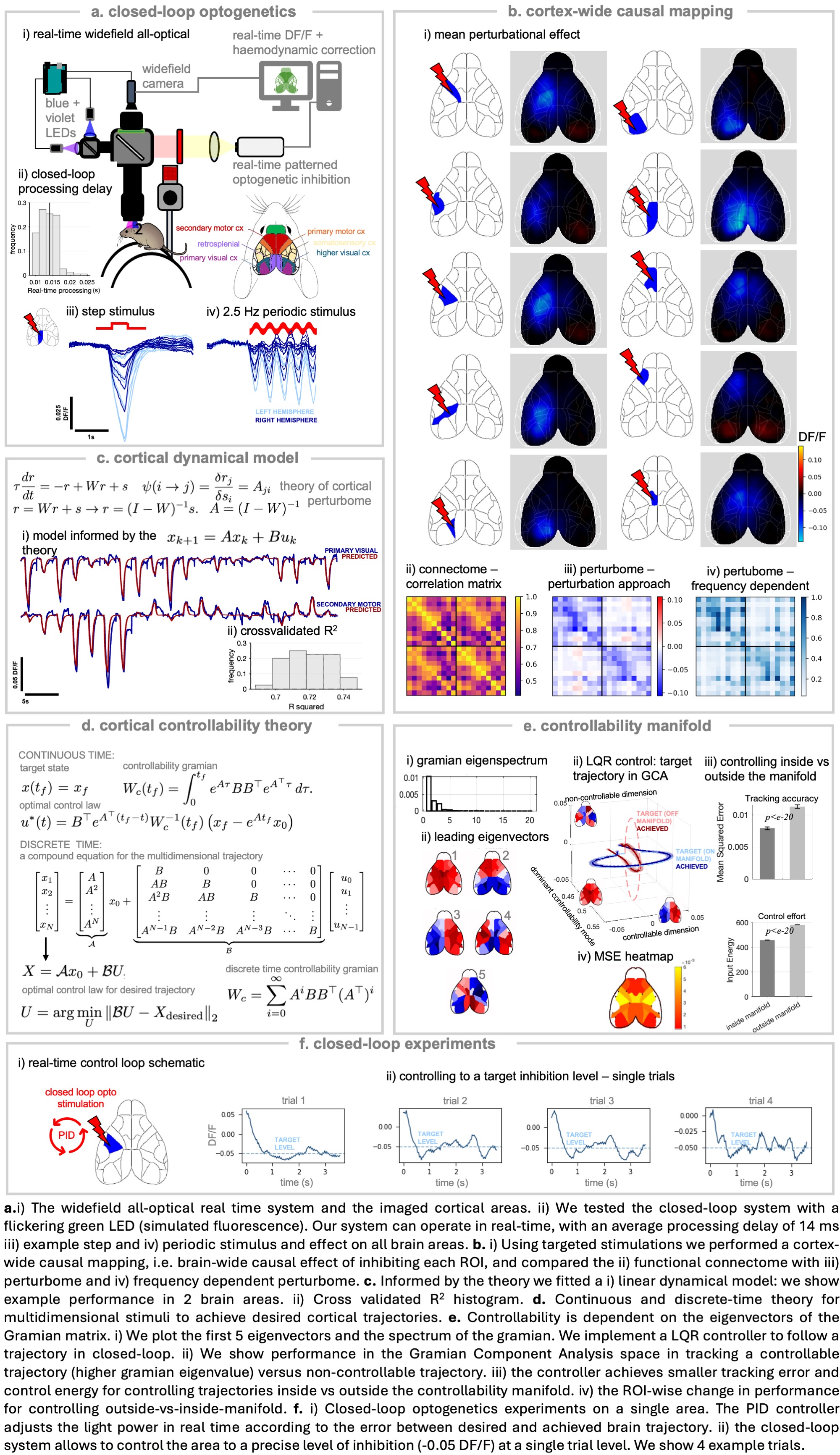 a. image of the system enabling real time optogenetics and imaging on mice b. we deliver light in different brain areas and see the optogenetic effect brainwide c. linear models of the optogenetics perturbation can predict and explain its effect d. control theory equations e. we show the controllability eigenvectors of the brain, following trajectories along the eigenvectors is easy f. closed loop experiments allow to keep the brain to a fixed level of inhibition
