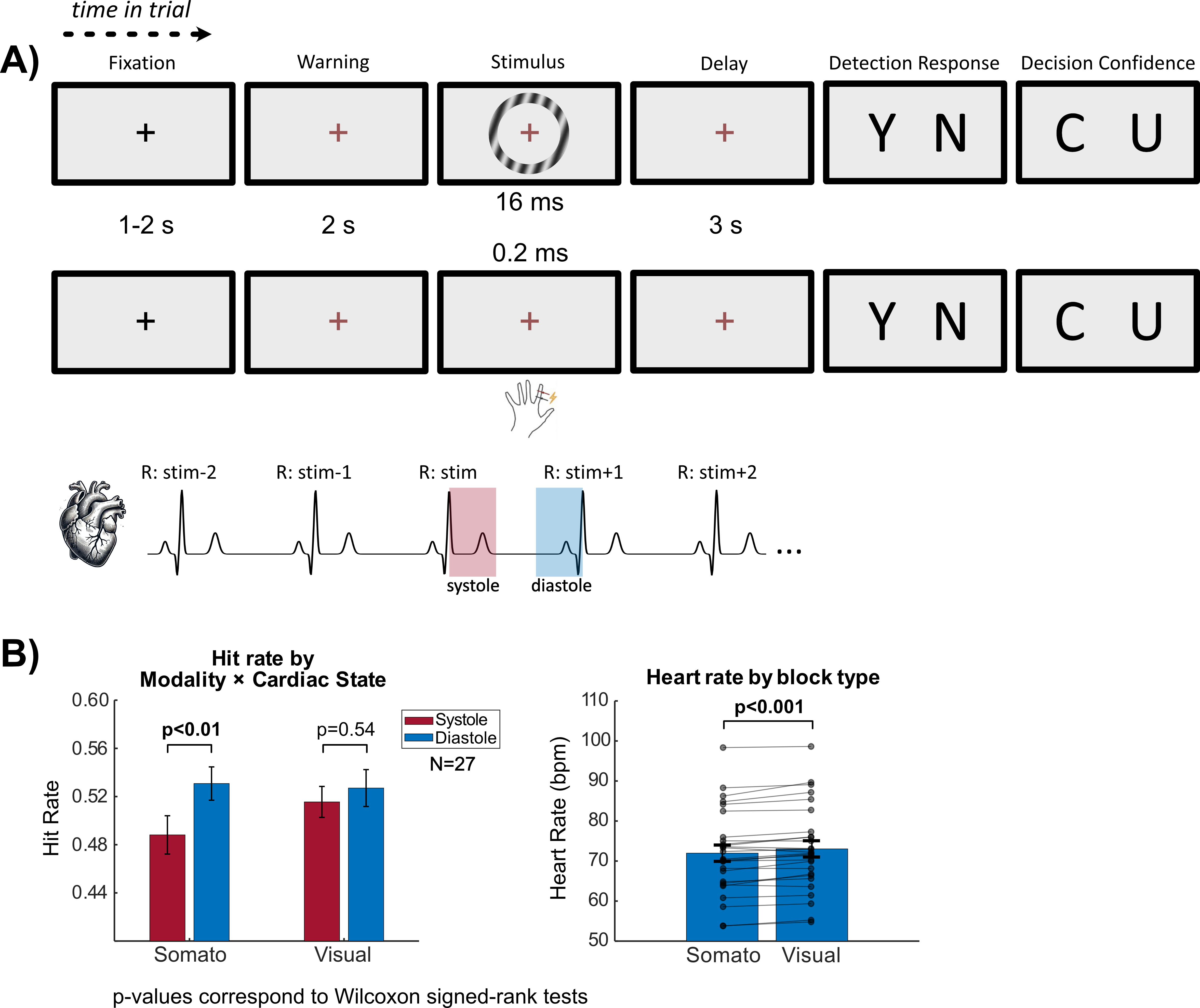 Top part of the Figure A depicts the sequence of each trial in the visual (first row) and somatosensory (second row) modality. The sequence includes Fixation, Warning (where the fixation cross turns red from black), then the brief stimulus presentation (a doughnut-shaped flash on the screen in the visual experiment, and an electric pulse to the left index finger in the somatosensory experiment), a post-stimulus delay and response windows for the participant to select their decision on stimulus detection (Y:yes or N:no) and confidence (C:confident, U:unconfident). The third row on Figure A depicts the categorization of R-peaks according to their timing relative to the stimulus presentation, and an illustration for where in the cardiac cycle the systole and diastole phases correspond to (roughly the first 300 ms after an R-peak for systole, and the last 300 ms before an R-peak for diastole). Left part of the Figure B depicts the comparison of hit rates for trials with stimulus presentation within systole and diastole. It shows a significant effect of cardiac phase on hit rates in the somatosensory modality (decreased hit rate in systole), but not in the visual modality. Right part of the Figure B shows that the overall heart rate is significantly lower in the somatosensory blocks with respect to the visual blocks.