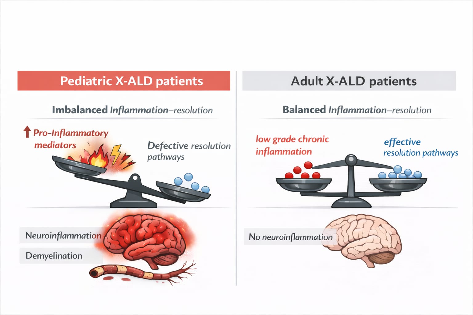 This image summarizes the link between lipid imbalance and neuroinflammation in X-linked adrenoleukodystrophy. In pediatric patients, defective resolution pathways lead to an imbalance toward excessive inflammation, which contributes to brain inflammatory demyelination. In contrast, adult patients present effective resolution pathways that prevent neuroinflammation.