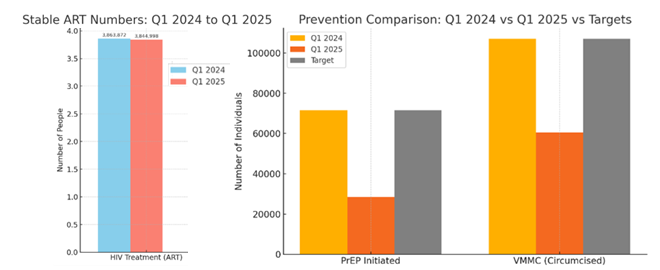 The graphs show that while stable ART numbers remained consistent from Q1 2024 to Q1 2025, both PrEP initiation and VMMC uptake declined and fell short of targets.