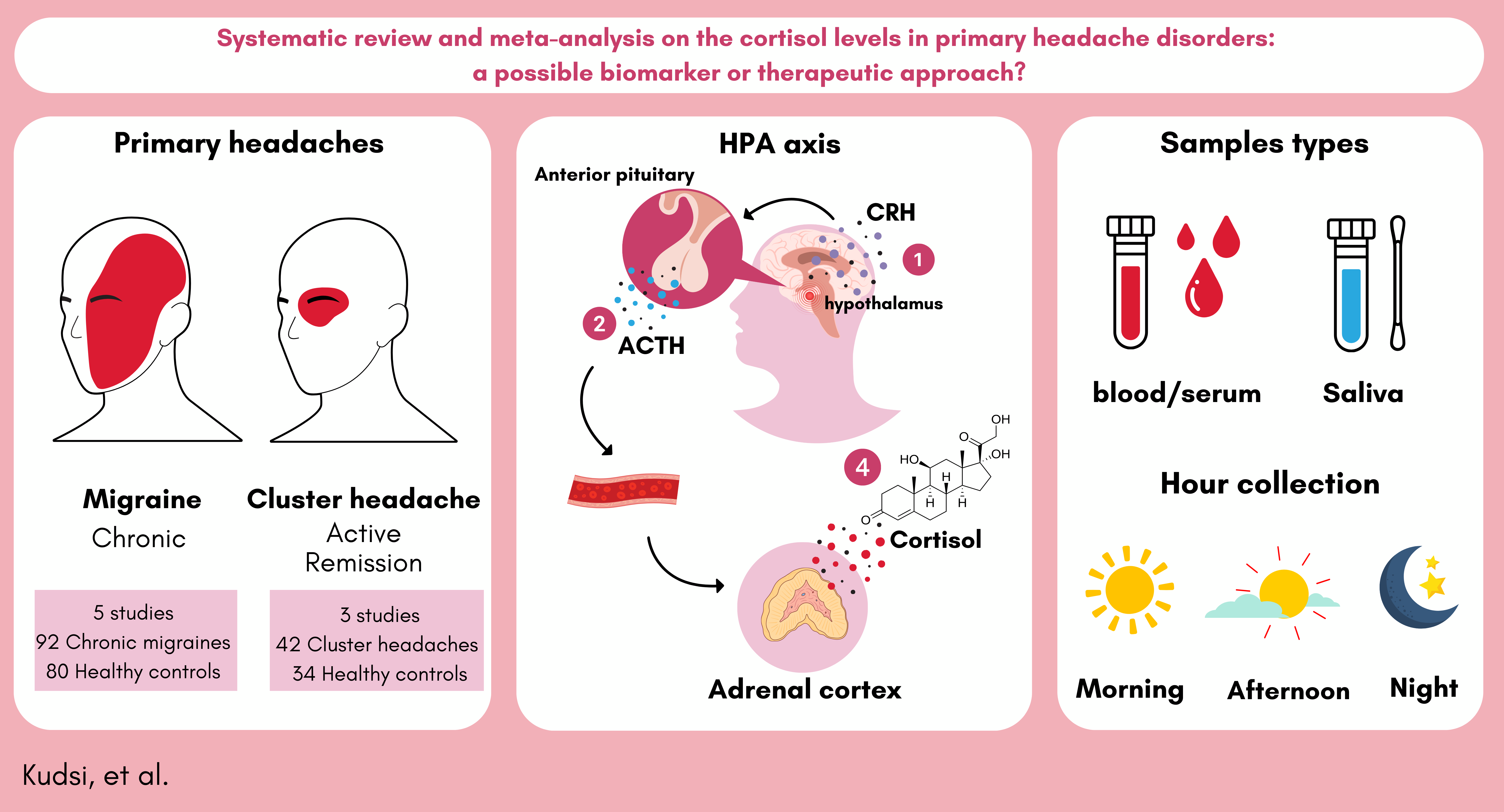 Graphical abstract summarizing the main findings related to cortisol alterations in primary headache.