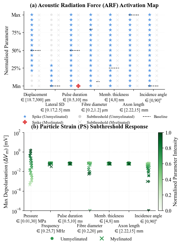 Comparative efficacy of acoustic radiation force (ARF) and particle strain (PS) across a comprehensive parameter sweep. (a) ARF activation map reveals a marked difference in excitability: unmyelinated axons (blue stars) are robustly excited across broad ranges of displacement and pulse duration, whereas myelinated axons (grey/red crosses) remain largely subthreshold. (b) Maximum membrane depolarisation induced by PS. Regardless of acoustic intensity or fibre morphology, PS-driven depolarisation remains negligible (<2 mV), confirming its insufficiency to trigger action potentials. Horizontal dashed lines indicate the baseline (fixed) parameters for sweeps: displacement by ARF 159.35 μm, lateral standard deviation (SD) of beam 0.1 mm, pulse duration 5.25 ms, unmyelinated fibre diameter 1.0 μm, myelinated fibre diameter 1.43 μm, membrane thickness 5 nm, axon length 15 mm, incidence angle 0°, pressure 1.38 MPa, and frequency 4 MHz. 