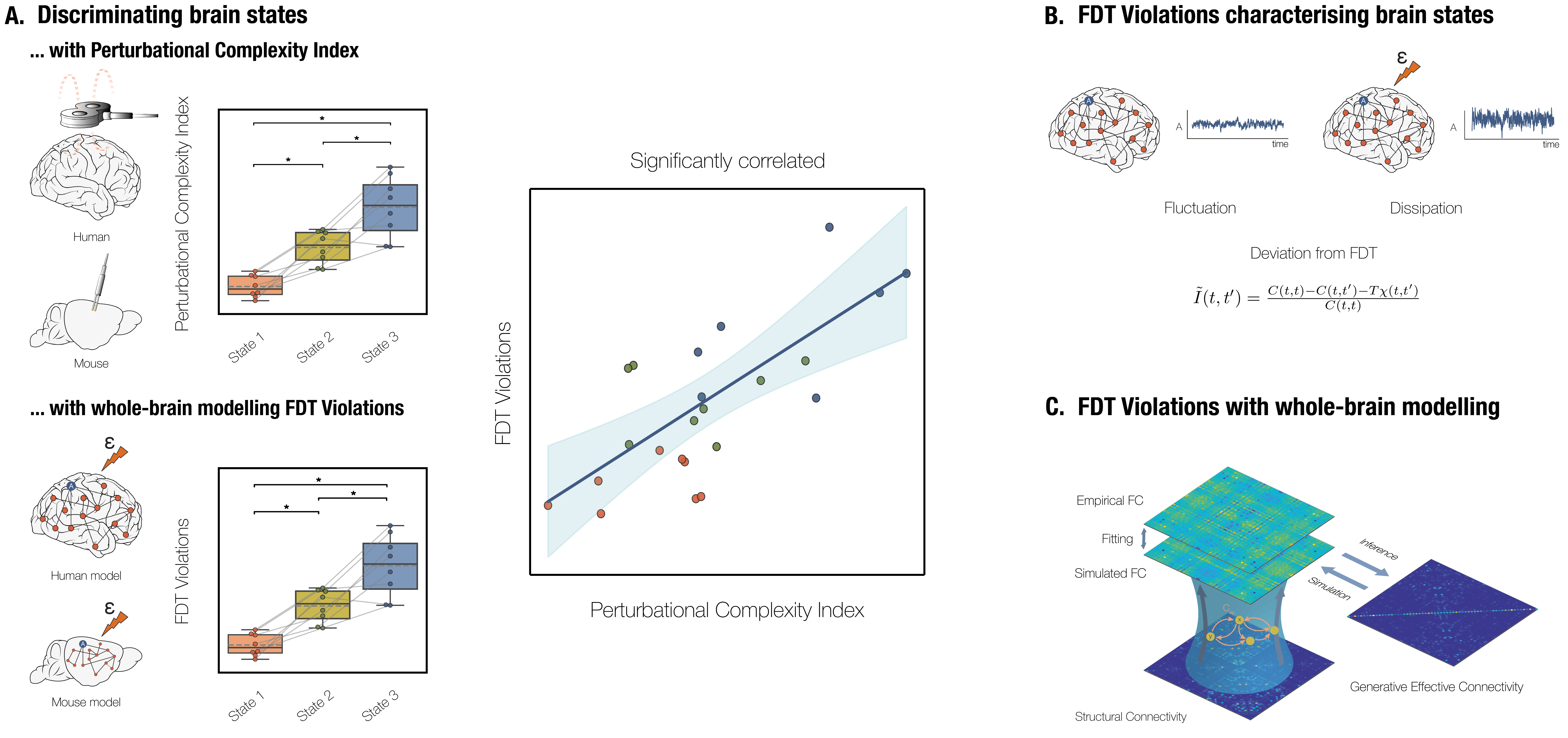 Framework for computing PCI and FDT violations from evoked and spontaneous brain dynamics