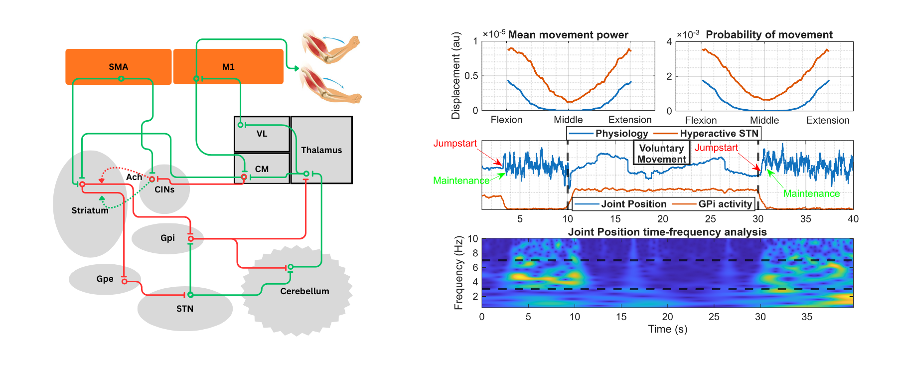 This figure aims to illustrate the mechanisms of spontaneous resting tremor generation of Parkinson's disease. The left hand side shows the identified network which results in the the progressive reduction of GPi activity and hence disinhibition of movement. Right hand side shows the results of the simulation. Top row shows that a hyperactive subthalamic nucleus results both in a greater probability of spontaneous movement occuring and in that movement having greater power. Middle row shows the joint position and GPi activity over time indicating spontaneous tremor emerging after a few seconds of rest which then stops during voluntary movement and shortly restarts after the termination of voluntary movement. Bottow row shows a time-frequency analysis of joint position showing that the resting tremor frequency falls within the 3-7 Hz frequency range. 