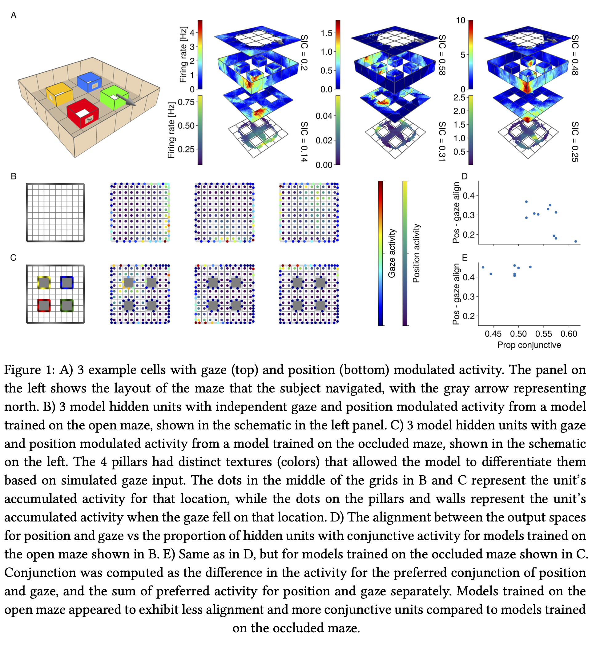 Cells with position and gaze modulated activity, as well as example hidden units from RNN models trained to solve a similar task.