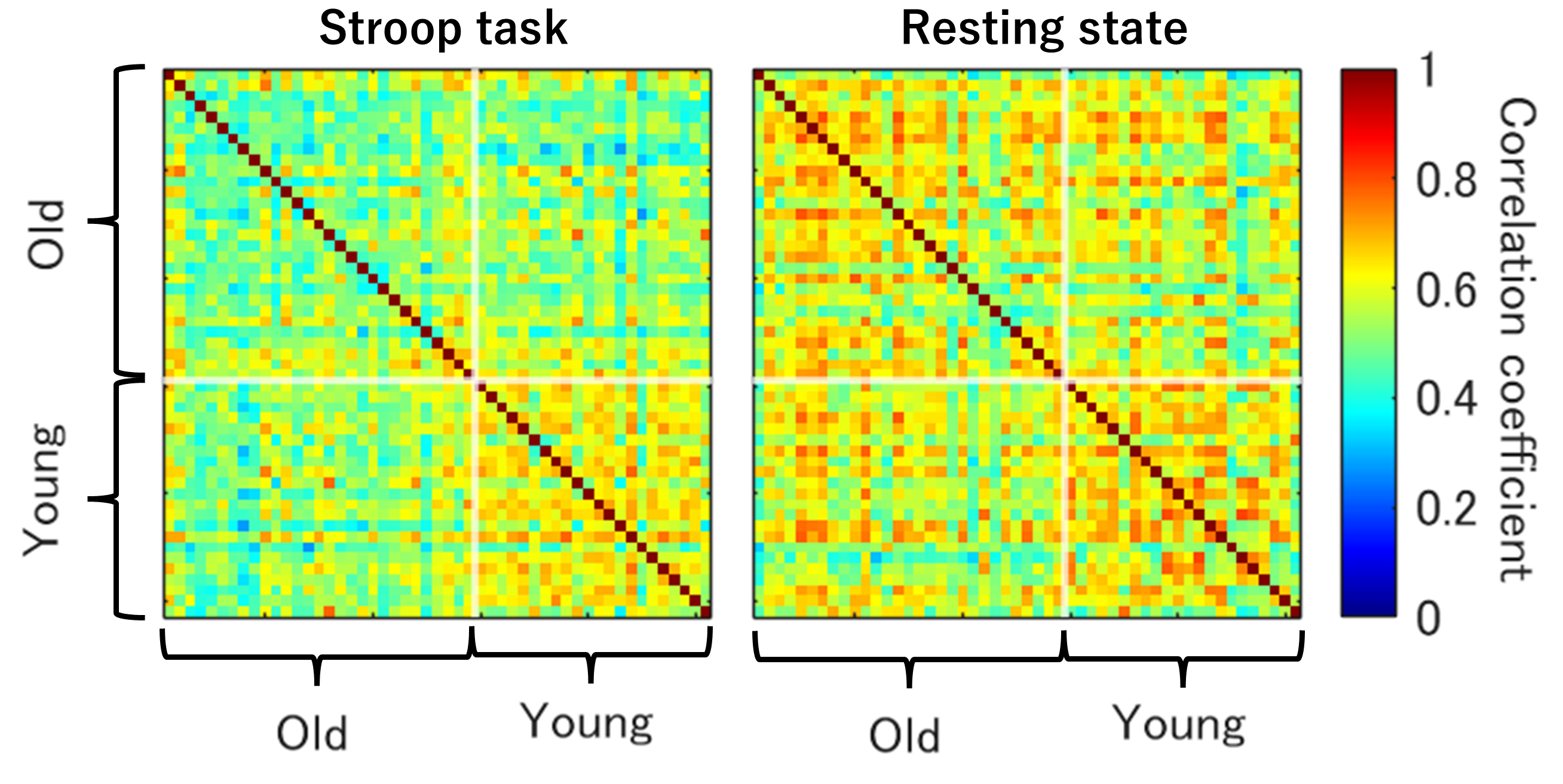 Two correlation matrices displaying inter-subject similarity of functional connectivity during the Stroop task (left) and resting state (right) for older and younger adults. The color scale ranges from 0 (blue) to 1 (red). The resting state matrix shows high correlation across all subjects, while the Stroop task matrix indicates lower similarity within the older group compared to the younger group.