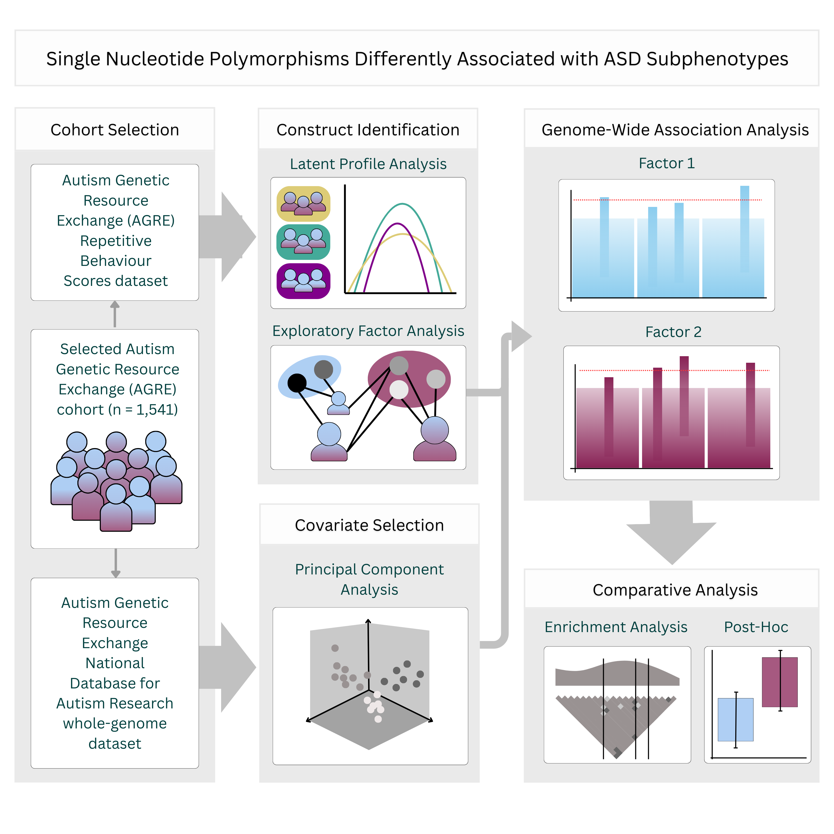 Single Nucleotide Polymorphisms Differently Associated with ASD Subphenotypes: This graphical abstract outlines the cohort selection, construct identification, and genome-wide association analysis conducted and described in the abstract above