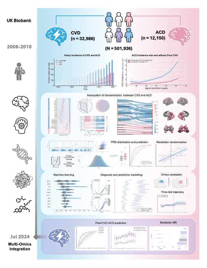 Summary of human multi-omics elucidating the comorbidity mechanism of cerebrovascular disease and all-cause dementia