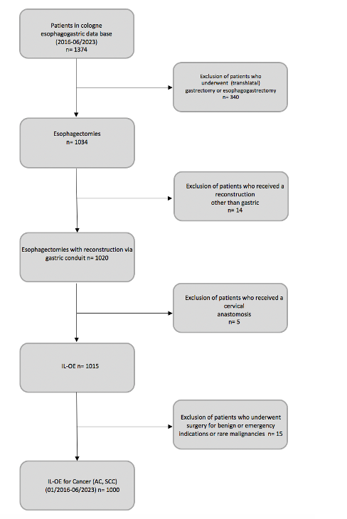 Figure 1. CONSORT-like diagram depicting patient selection process resulting a highly standardized cohort. NEC: neuroendocrine carcinoma. IL-OE: Ivor-Lewis esophagectomy.